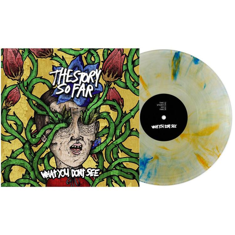 THE STORY SO FAR - What You Don't See (Tide Pods Marble)