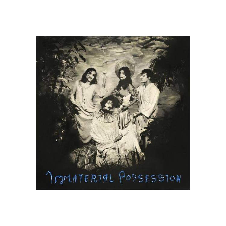 IMMATERIAL POSSESSION - Immaterial Possession