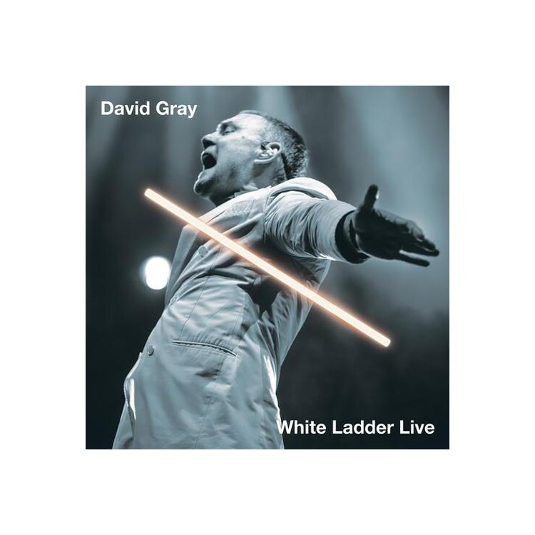 DAVID GRAY - White Ladder Live