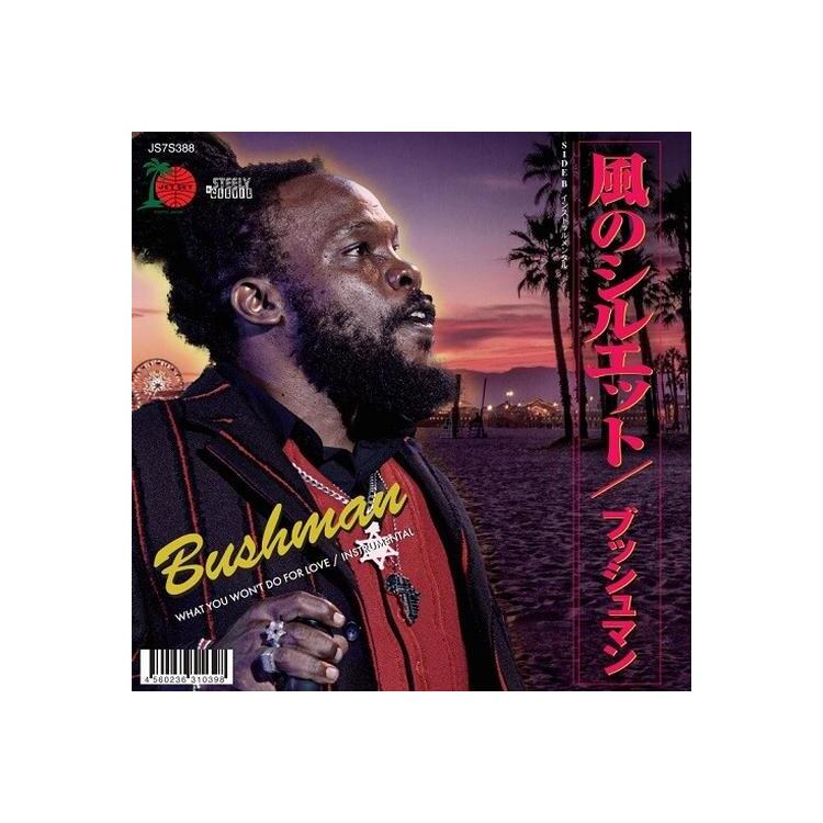 BUSHMAN - What You Won't Do For Love [7in] (Japanese Import)