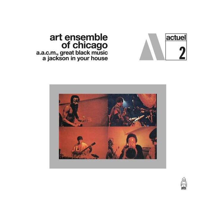 ART ENSEMBLE OF CHICAGO - A Jackson In Your House