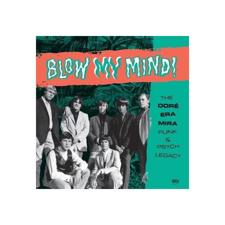 VARIOUS ARTISTS - Blow My Mind / Various