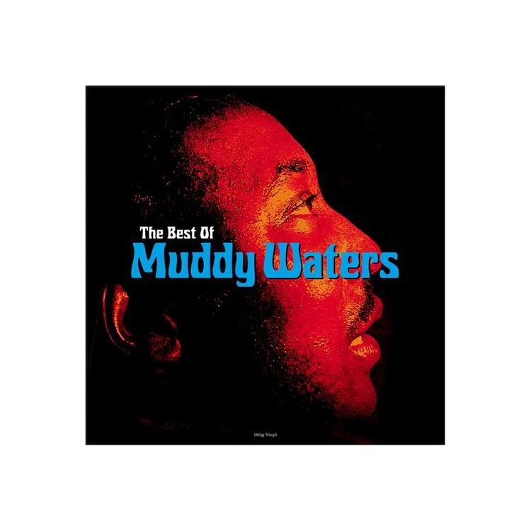 MUDDY WATERS - The Best Of Muddy Waters