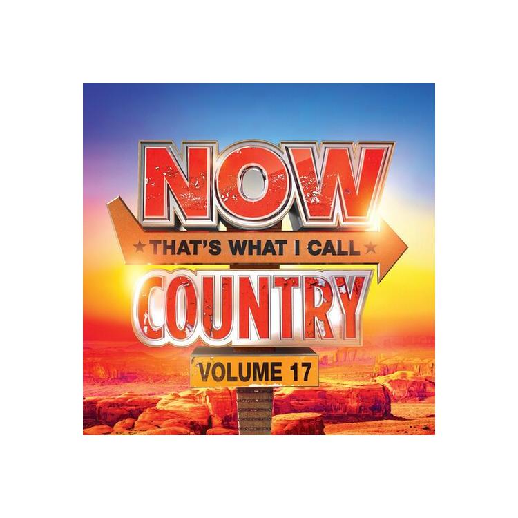 VARIOUS ARTISTS - Now Country 17 / Various