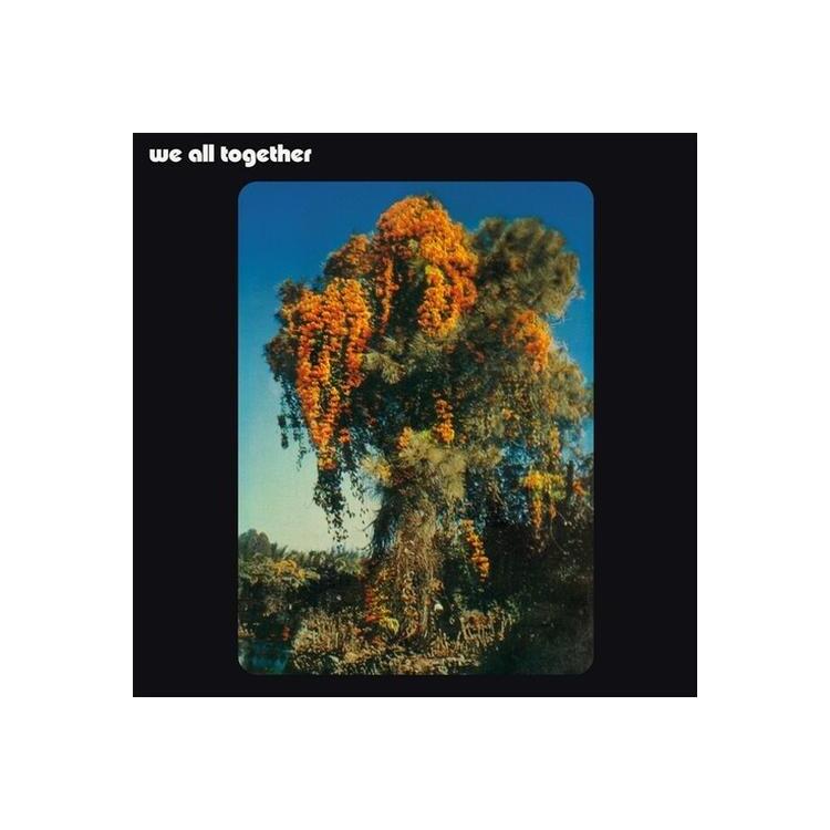 WE ALL TOGETHER - We All Together [lp]