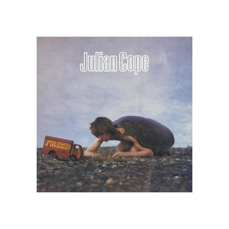 JULIAN COPE - Fried