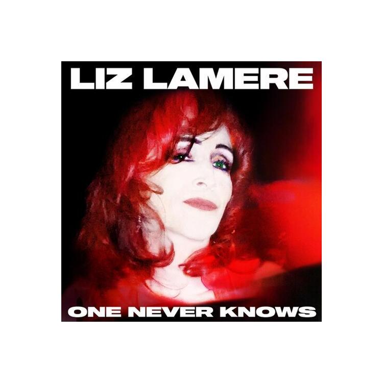 LIZ LAMERE - One Never Knows