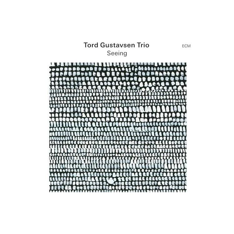 TORD GUSTAVSEN TRIO - Seeing