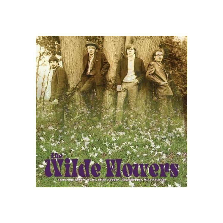 WILDE FLOWERS - The Wilde Flowers