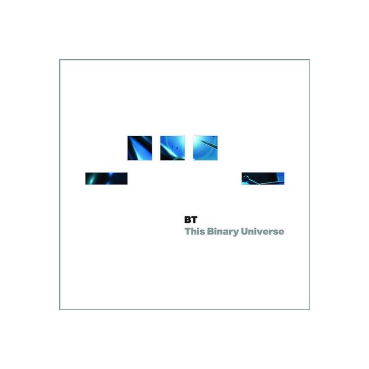 BT - This Binary Universe