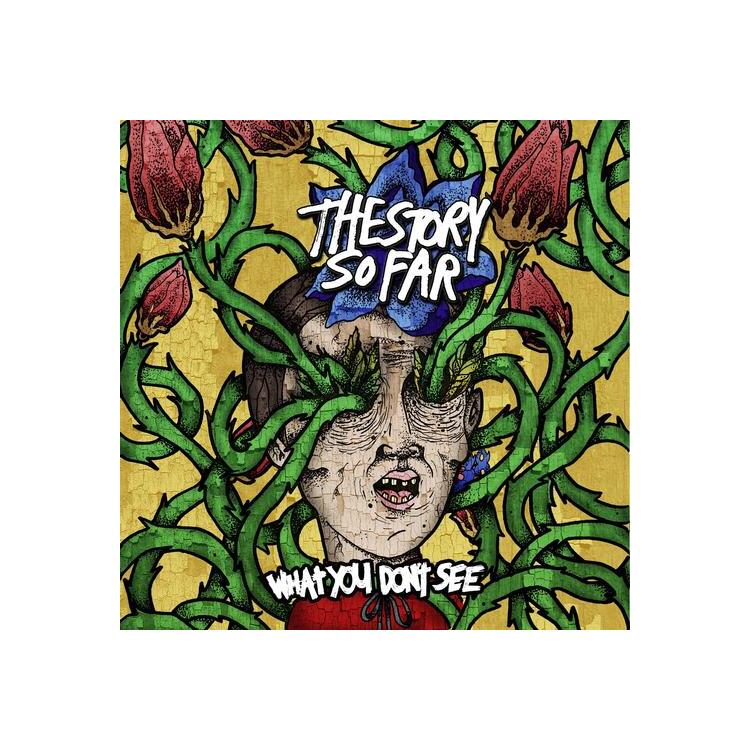 THE STORY SO FAR - What You Don't See (Green & Yellow Galaxy)