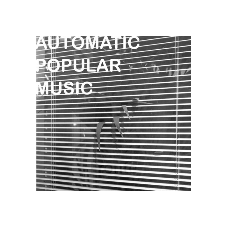 NICOLA RATTI - Automatic Popular Music