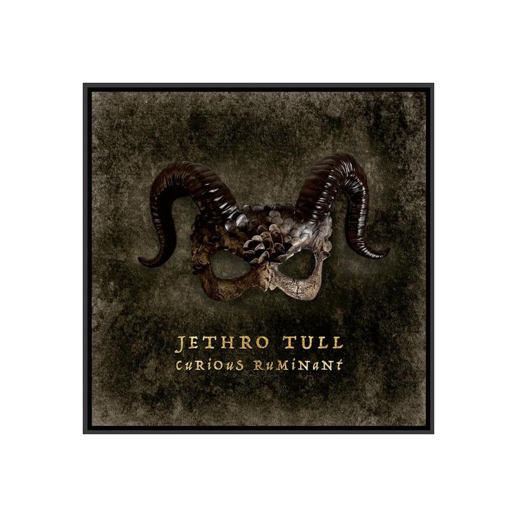 JETHRO TULL - Curious Ruminant